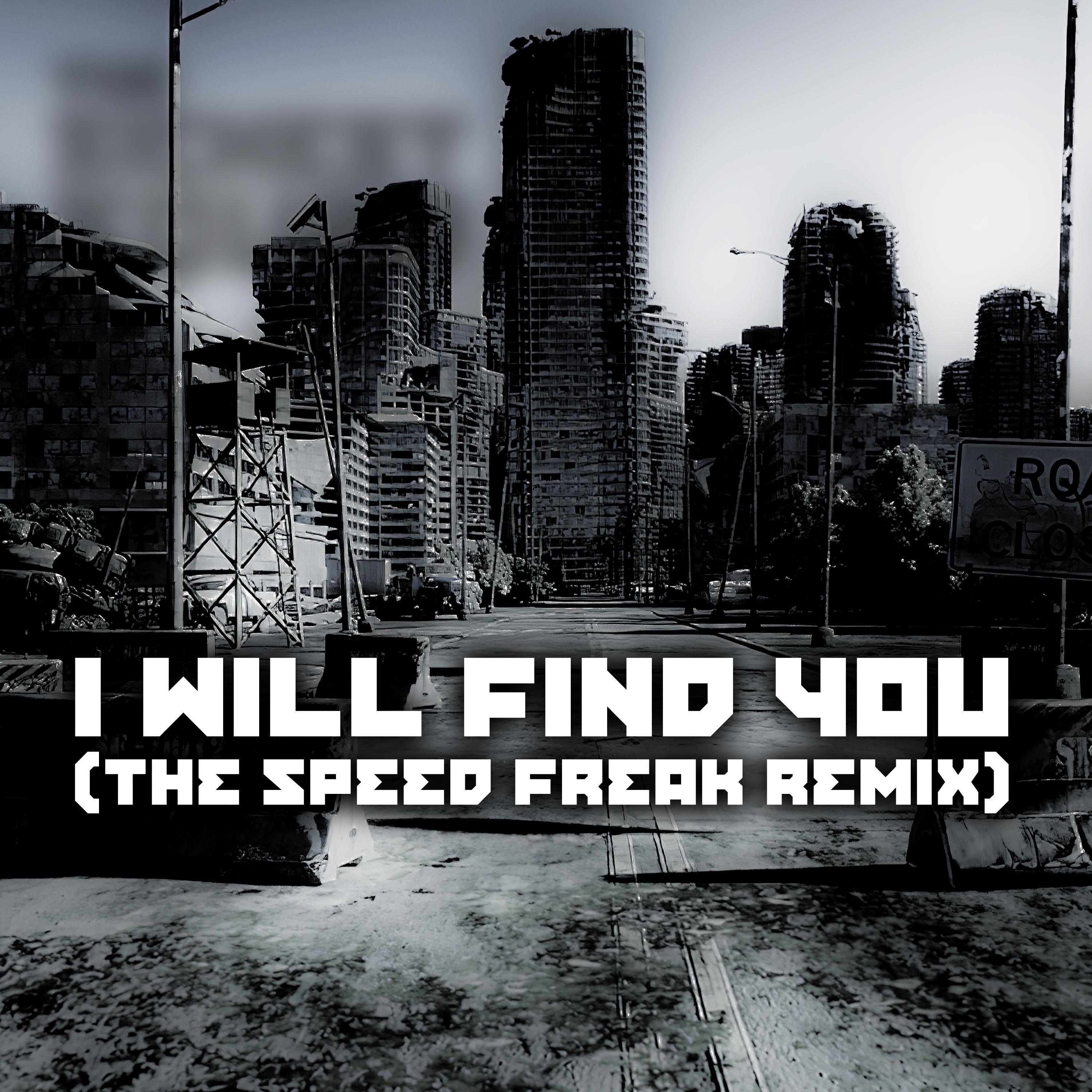 I Will Find You (The Speed Freak Remix)