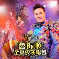 鲁振顺 - 难忘初恋的情人(原版Live伴奏)