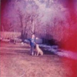 we met; weak men dog