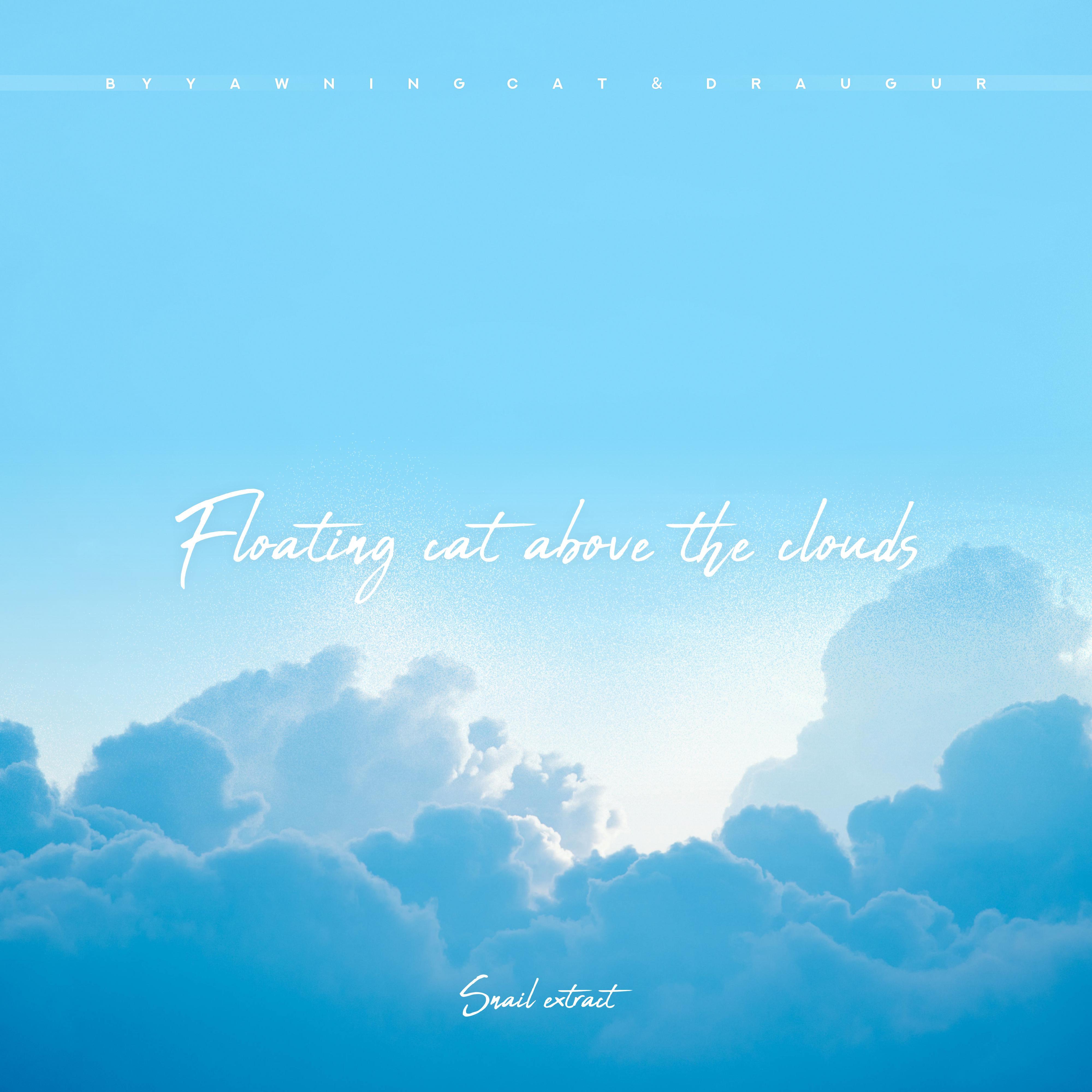 floating cat above the clouds