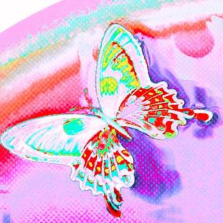 亚洲梦幻自赏｜玻璃球的斑斓梦境