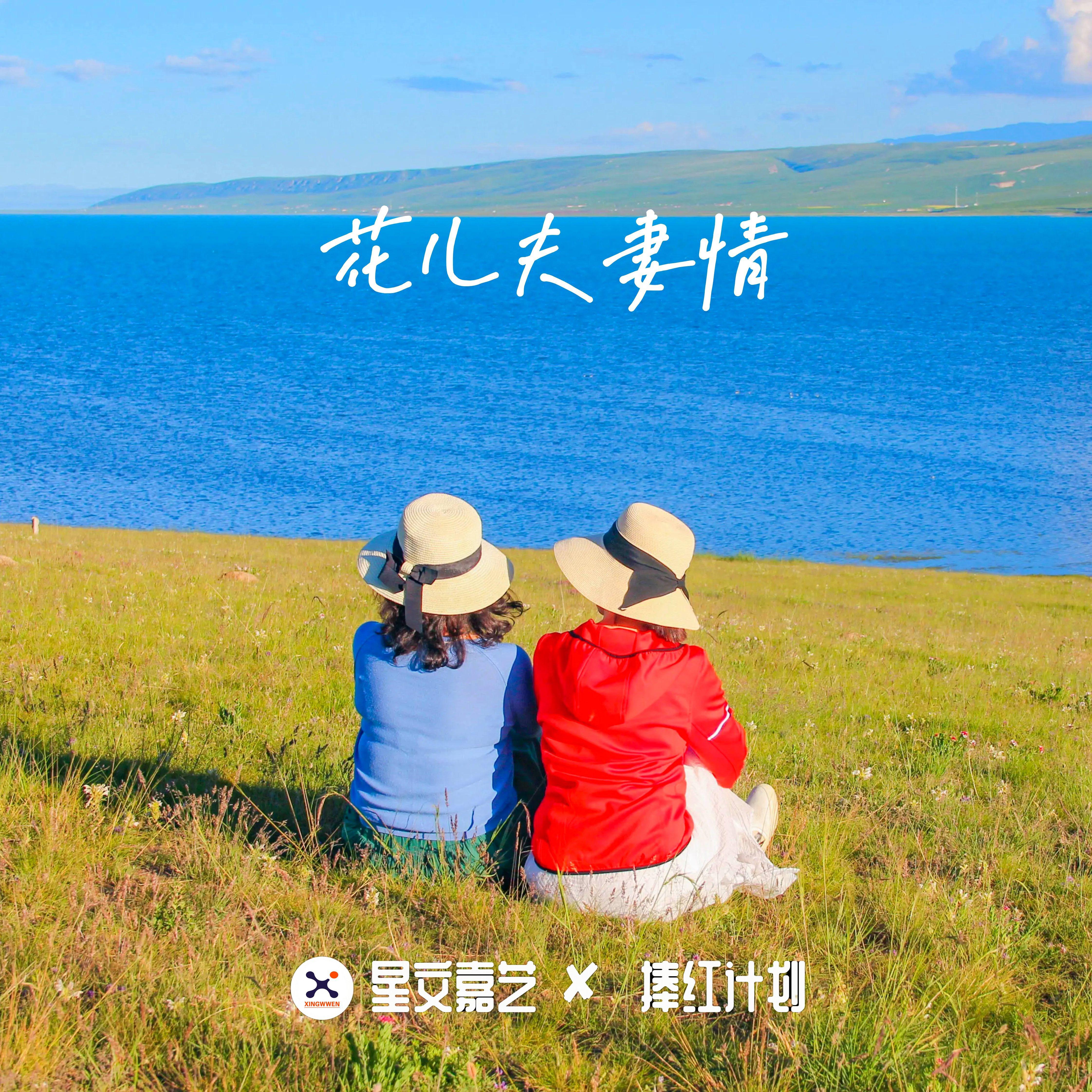 青海花儿歌曲封面