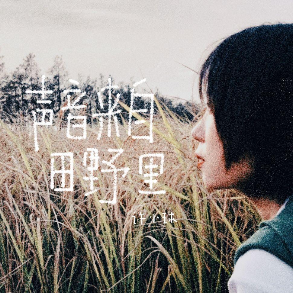 声音来自田野里