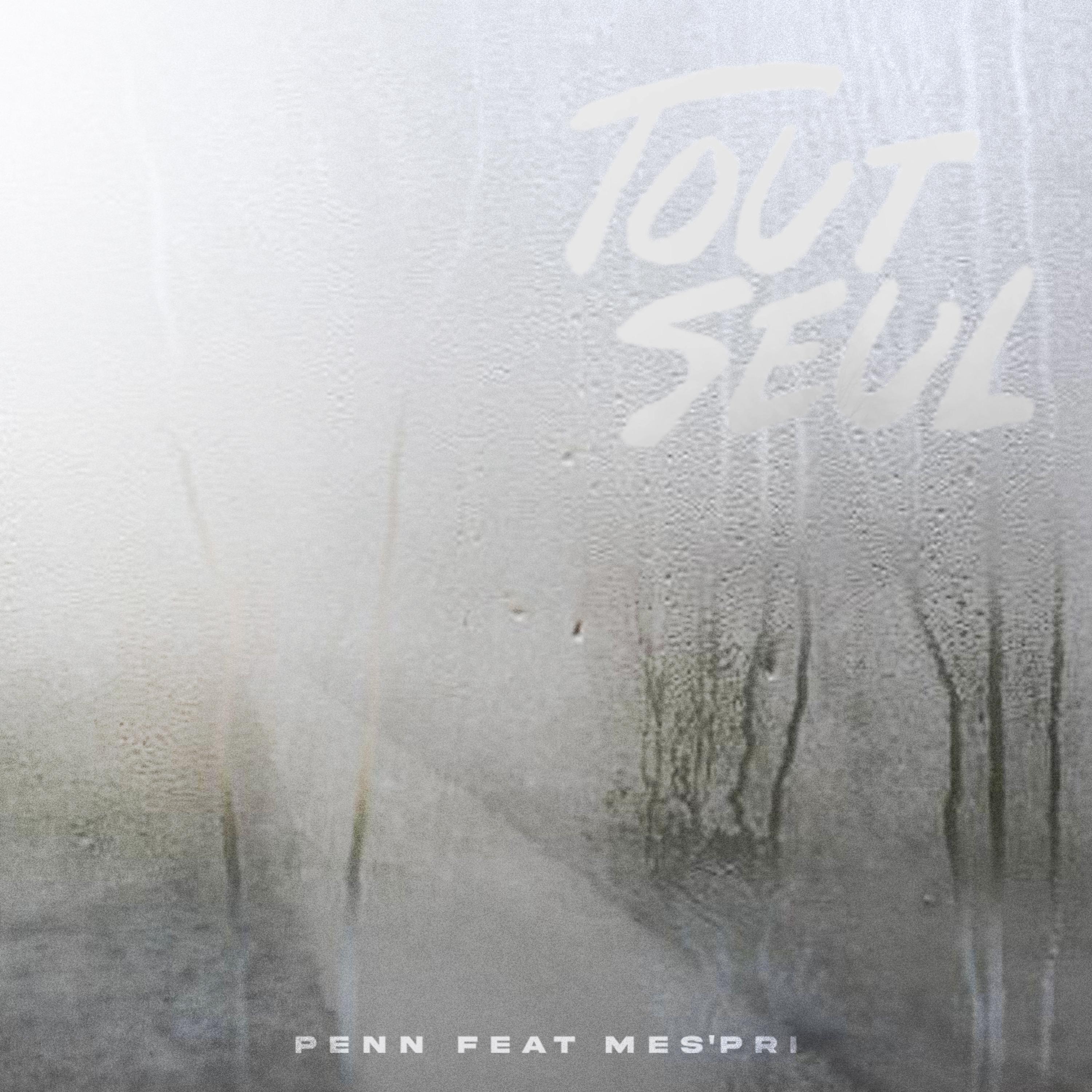 Tout seul (feat. Mes'pri)