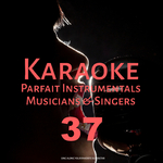 Venus (Karaoke Version) [Originally Performed By Shocking Blue]