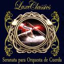 Luxe Classics: Serenata para Orquesta de Cuerda专辑