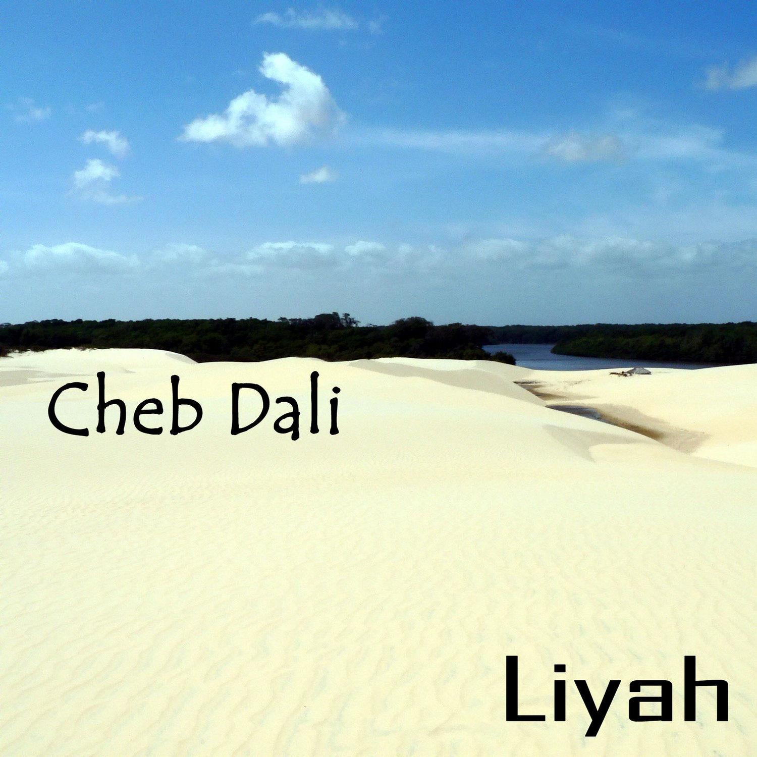 Cheb Dali, Liyah