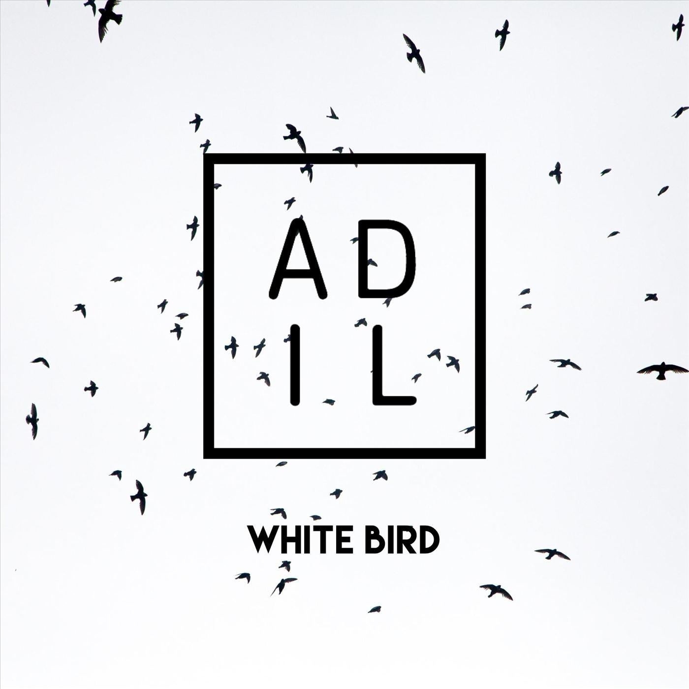 White Bird