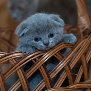 情绪的宣泄，在摇滚中爆发。