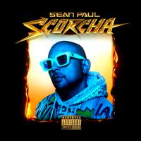 Sean Paul、Gwen Stefani、Shenseea - Light My Fire