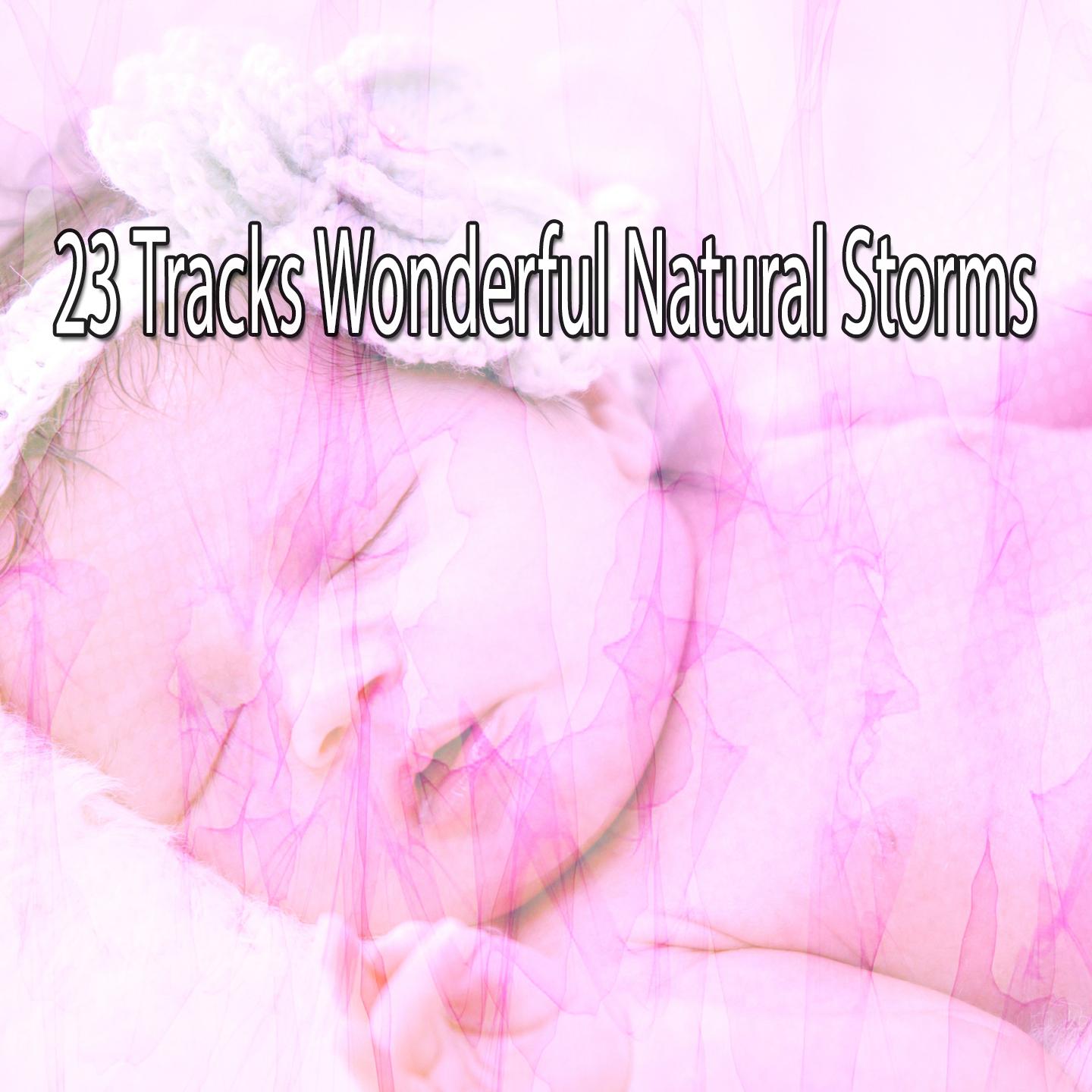 23 Tracks Wonderful Natural Storms专辑