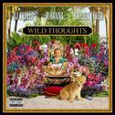 Wild Thoughts专辑