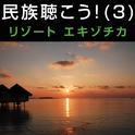 民族聴こう! (3) 〜リゾートエキゾチカ专辑