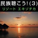 民族聴こう! (3) 〜リゾートエキゾチカ专辑