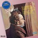 Schubert: Piano Sonata in D专辑