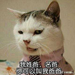 铁骨铮铮王境泽