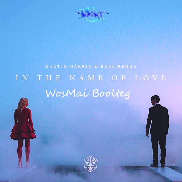 In The Name Of Love (WosMai Bootleg)专辑