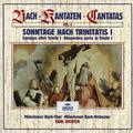 Bach, J.S.: Sundays after Trinity I (Vol. 4) (6 CD's)