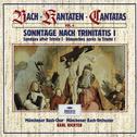 Bach, J.S.: Sundays after Trinity I (Vol. 4) (6 CD's)