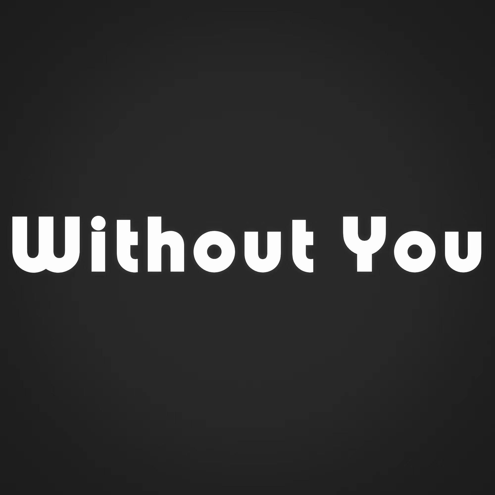 ZYNOX - Without You(Chen野 Edit)