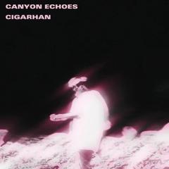 Canyon Echoes 南夏回声