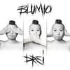 Blumio - Song Für Die Verregneten Tage