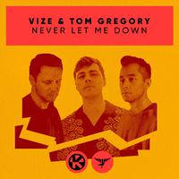 VIZE & Tom Gregory - Never Let Me Down 带和声伴奏