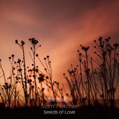 Seeds of Love (Original Mix)