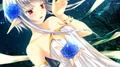 Night Elves专辑