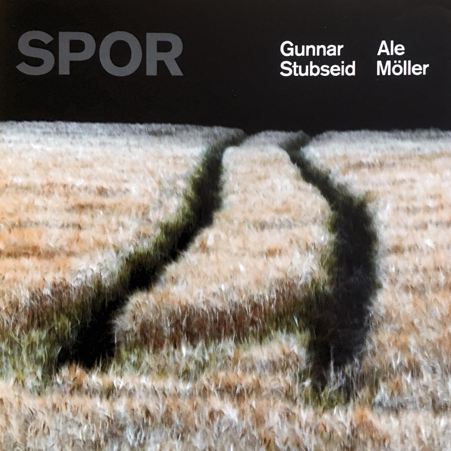 Gunnar Stubseid - Dolkaren