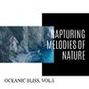 Rainbow Wave Sounds Library - Oceanic Stones