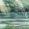 原创词曲