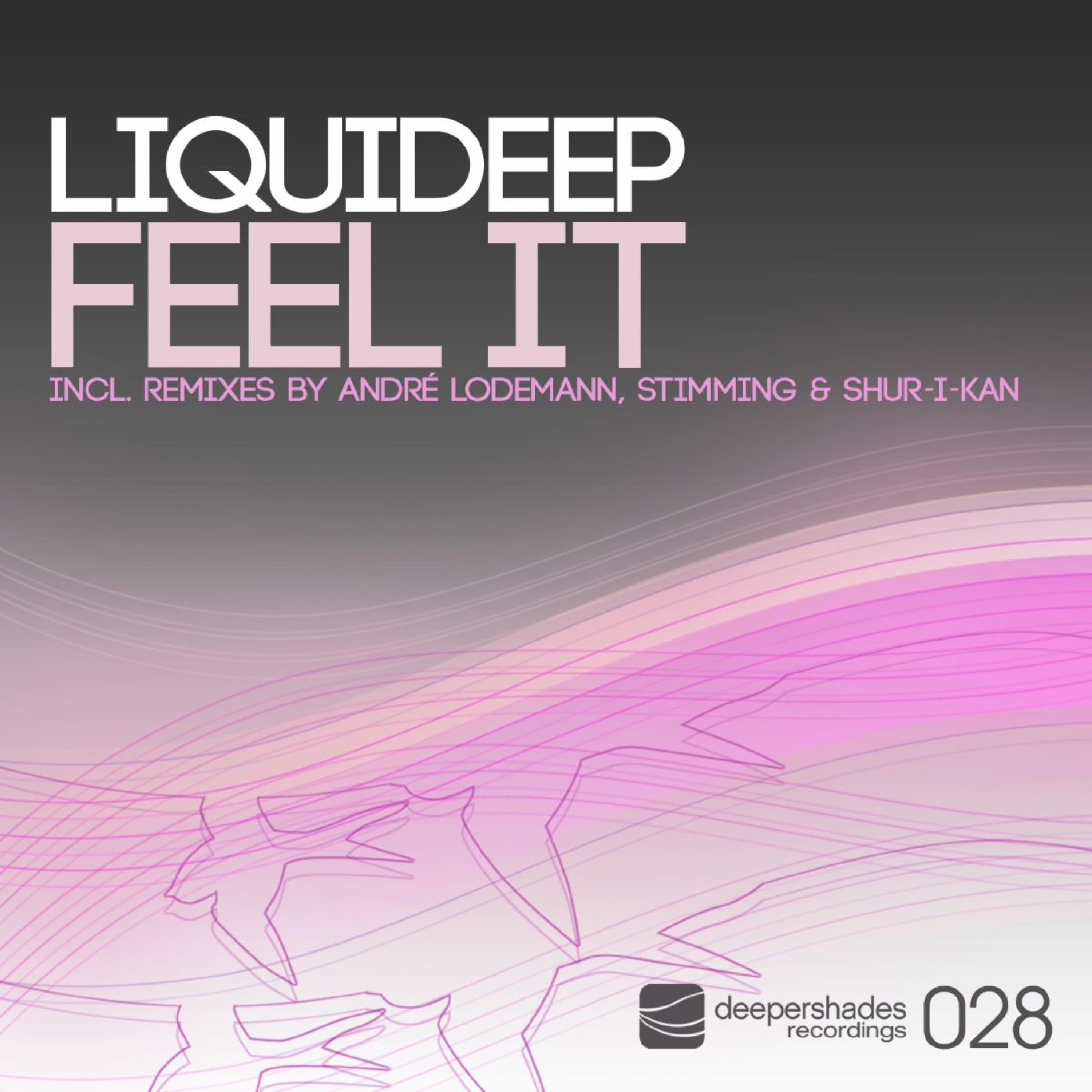 Liquideep - Feel It  (Stimming Dub Mix)