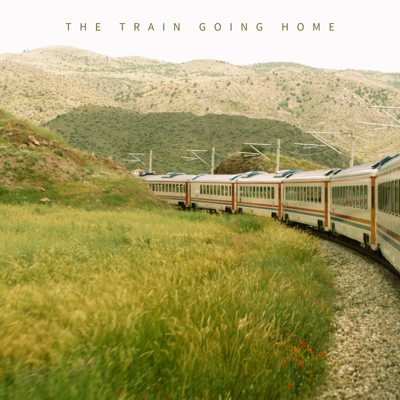 The Train Going Home