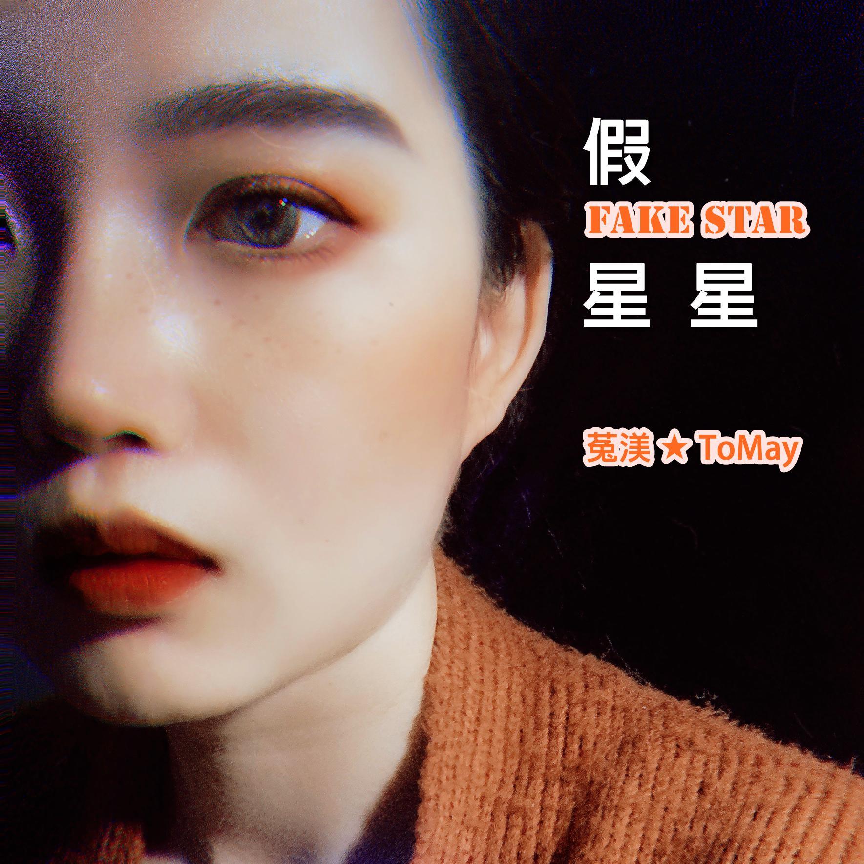 假星星（Fake Star）