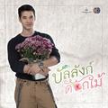 ขอบคุณ (Acoustic Version) [เพลงประกอบละคร บัลลังก์ดอกไม้]