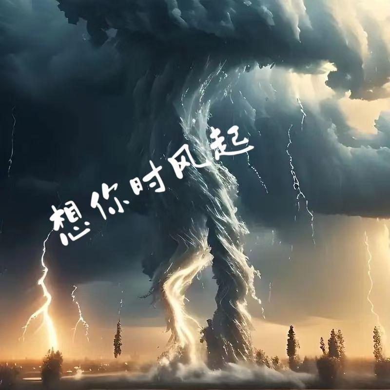 想你时风起