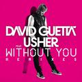 Without You (Remixes) [feat. Usher]