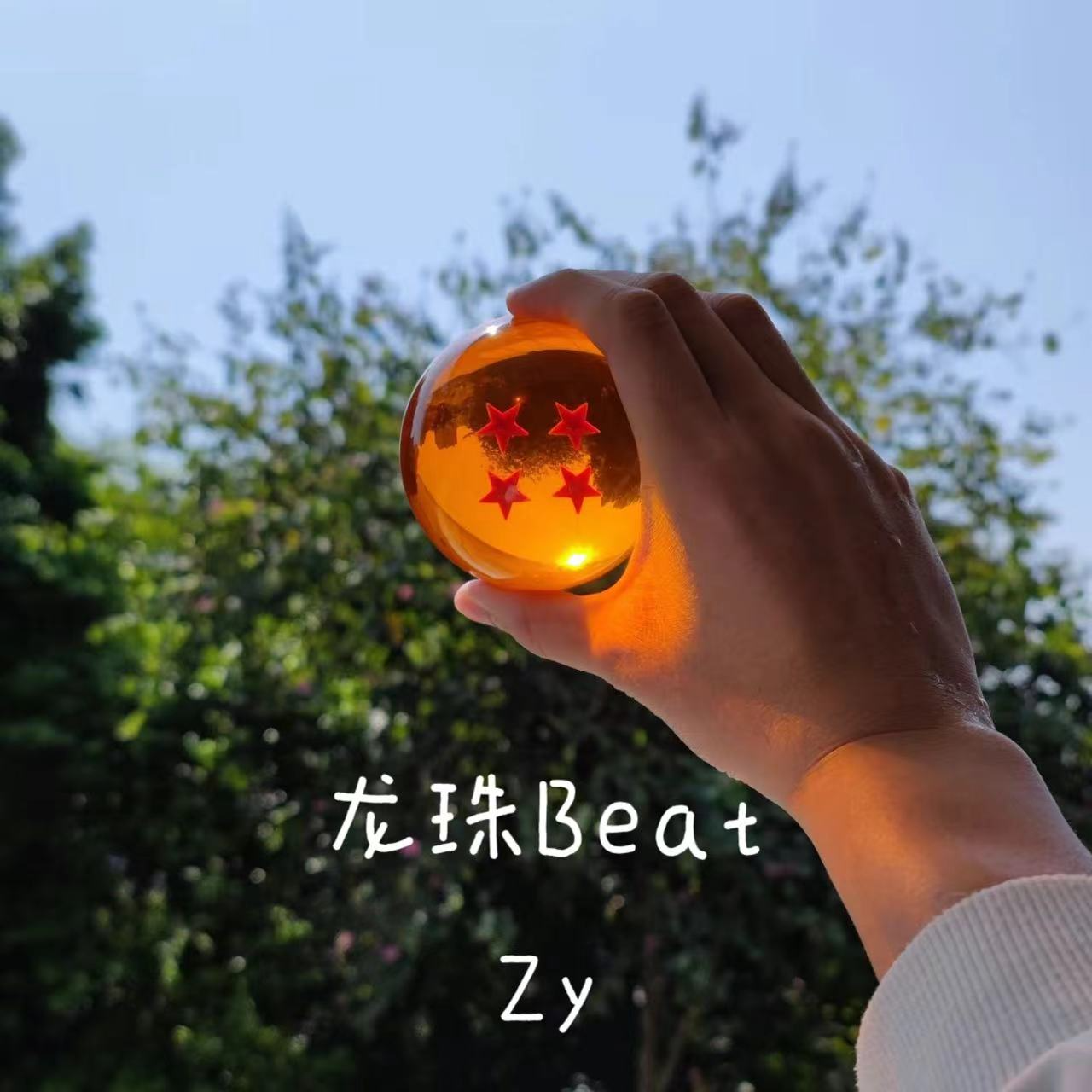 Zy - 龙珠