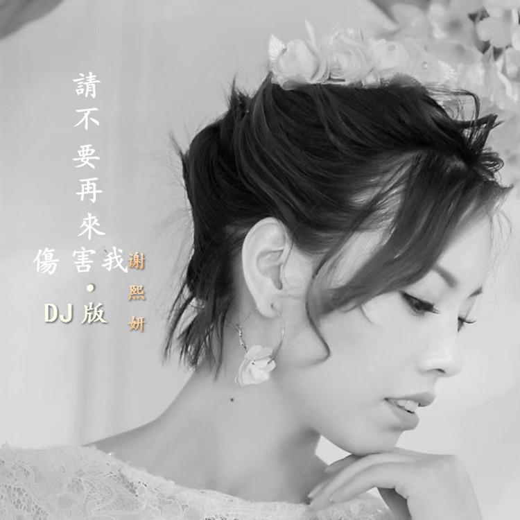 请不要再来伤害我-dj版专辑