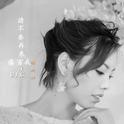 请不要再来伤害我-dj版专辑