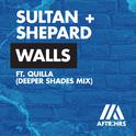 Walls (Deeper Shades Mix)专辑