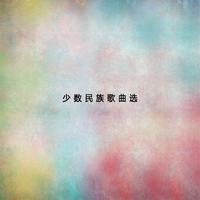 解放军同志请你停一停 - 历史歌曲