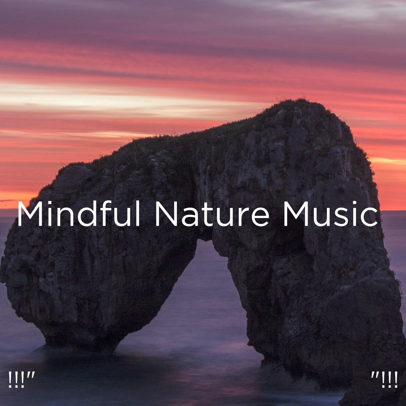 !!!" Mindful Nature Music "!!!
