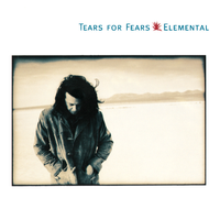 Tears For Fears - Elemental ( Karaoke )