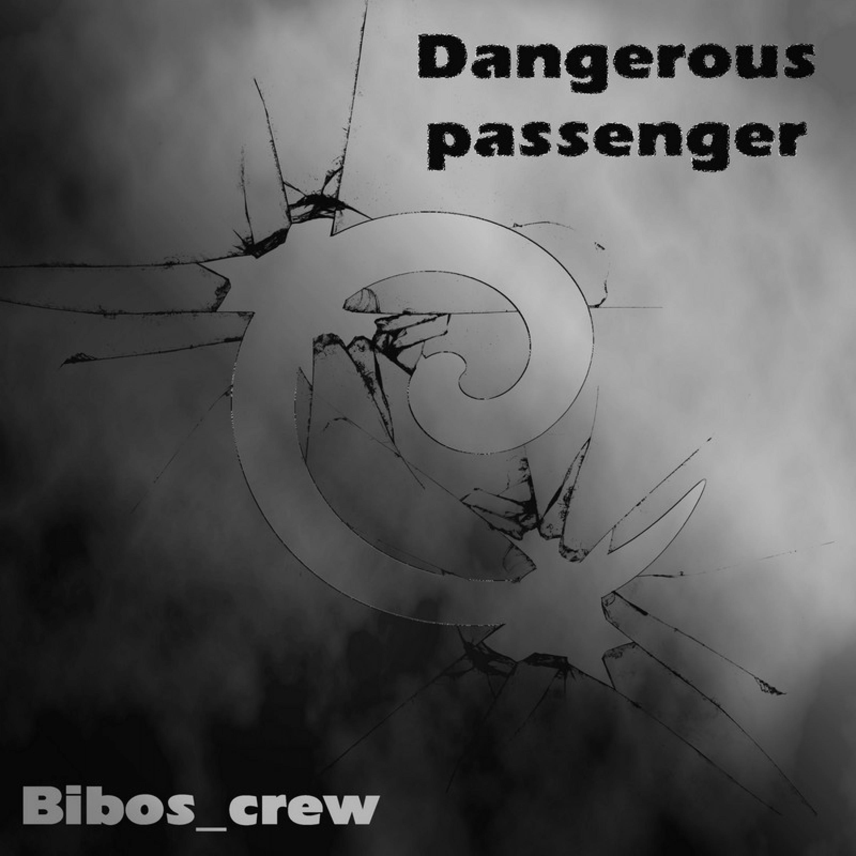 Dangerous Passenger