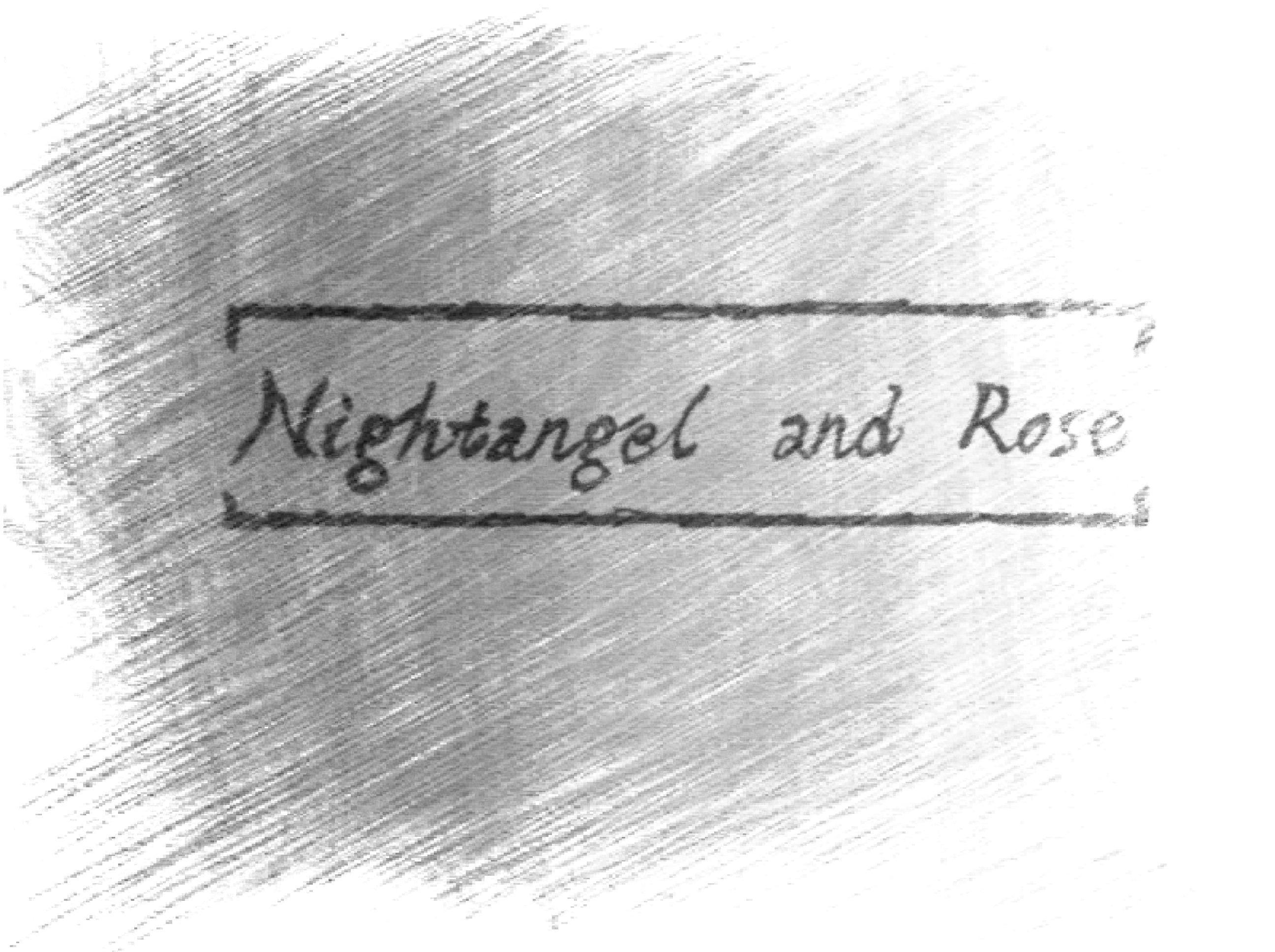 Nightangel and Rose专辑