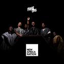 New Africa Nation (Deluxe)专辑