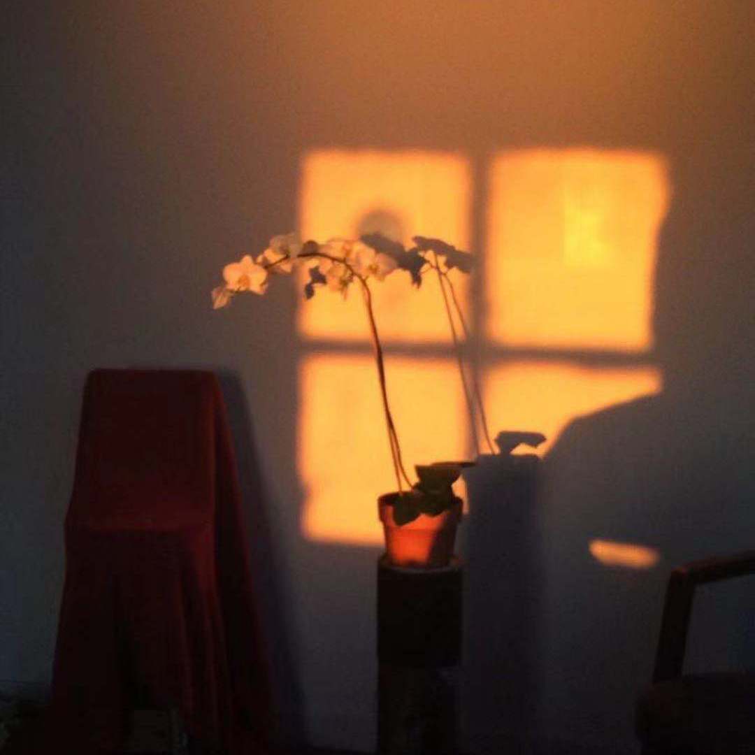 金玉良缘（女版）