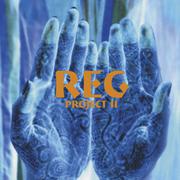 The Reg Project 2